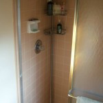 Shower Before Remodel